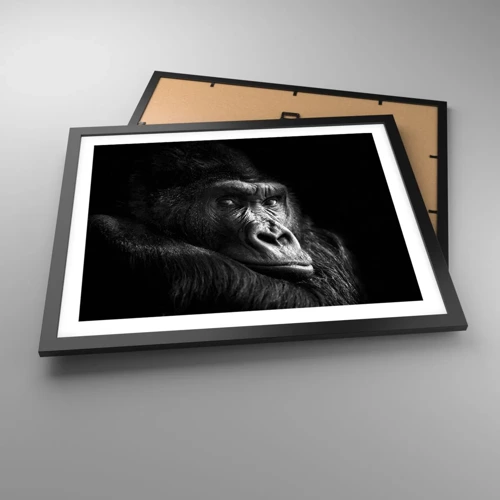 Poster in black frame - What Are You Looking At? - 50x40 cm