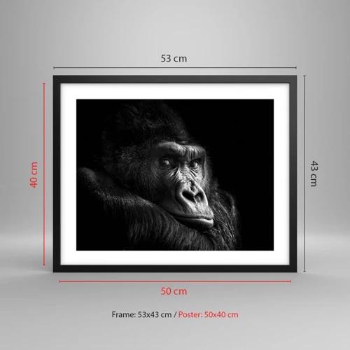 Poster in black frame - What Are You Looking At? - 50x40 cm