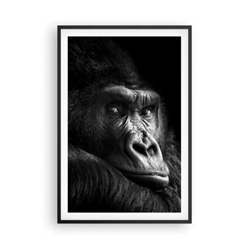 Poster in black frame - What Are You Looking At? - 61x91 cm