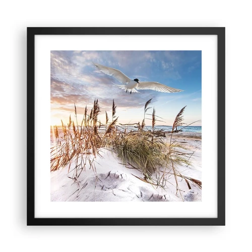 Poster in black frame - Wind from the Sea - 40x40 cm