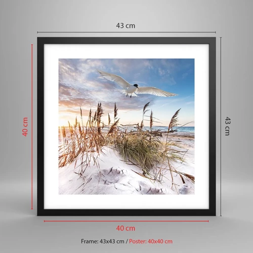 Poster in black frame - Wind from the Sea - 40x40 cm