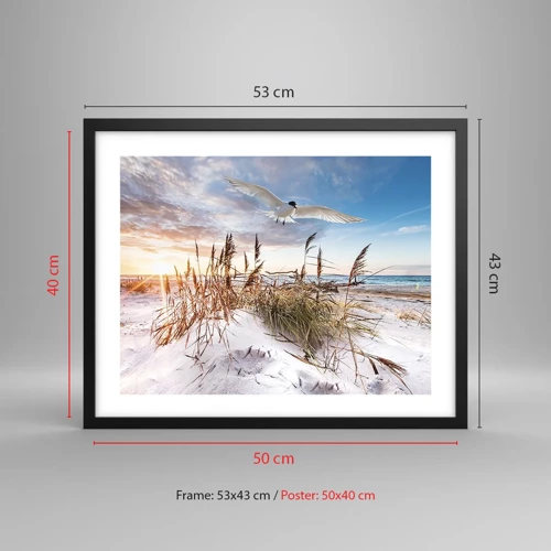 Poster in black frame - Wind from the Sea - 50x40 cm