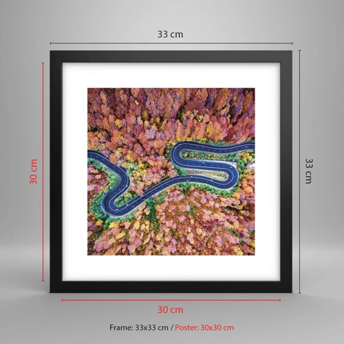 Poster in black frame - Winding Path through a Forest - 30x30 cm