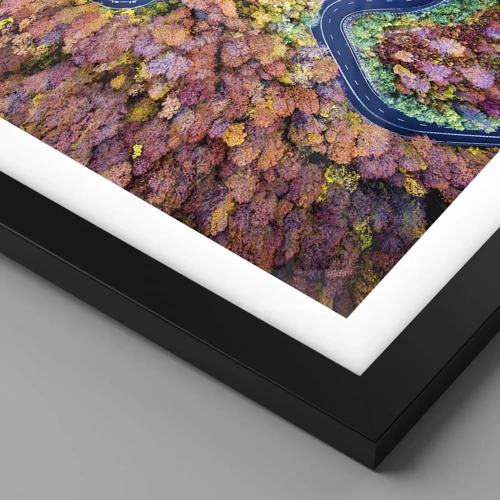 Poster in black frame - Winding Path through a Forest - 30x30 cm