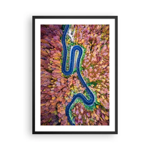 Poster in black frame - Winding Path through a Forest - 50x70 cm