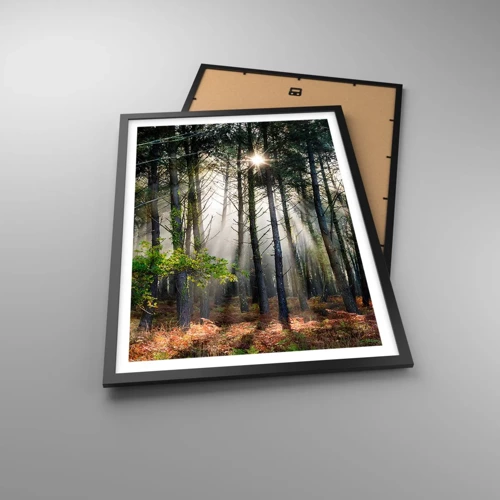 Poster in black frame - Woodland Area - 50x70 cm