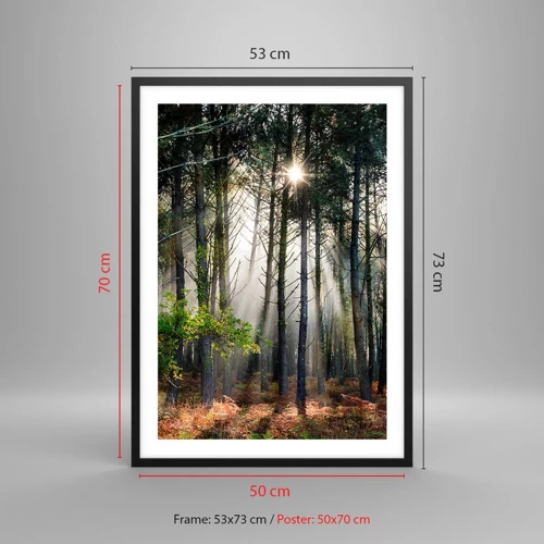 Poster in black frame - Woodland Area - 50x70 cm