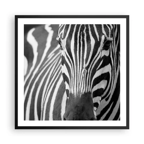 Poster in black frame - World Is Black and White - 60x60 cm