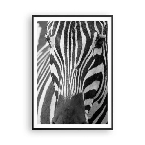 Poster in black frame - World Is Black and White - 70x100 cm
