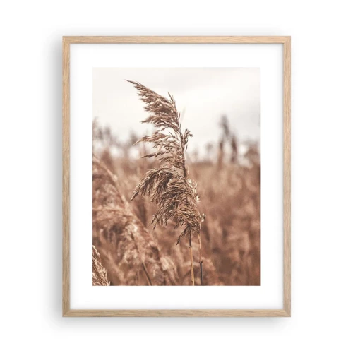 Poster in light oak frame - Autumn Has Arrived in the Fields - 40x50 cm
