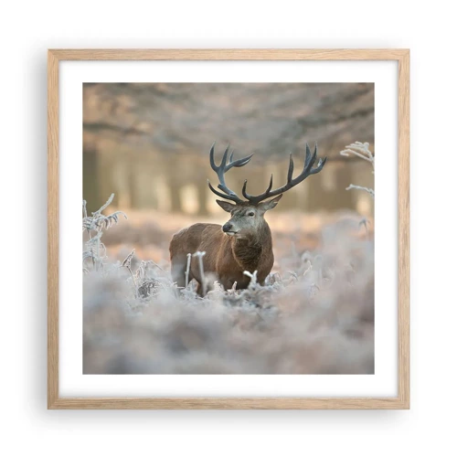 Poster in light oak frame - Chilly Morning - 50x50 cm