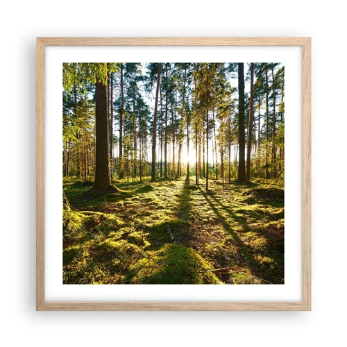 Poster in light oak frame - Deep in the Forest - 50x50 cm