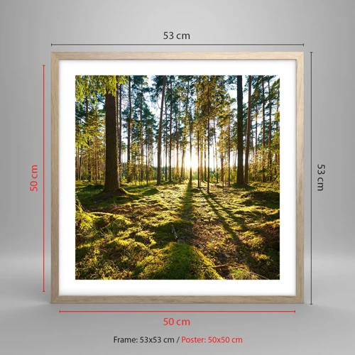 Poster in light oak frame - Deep in the Forest - 50x50 cm