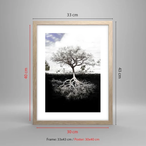 Poster in light oak frame - Discovery of the Nature of the World - 30x40 cm