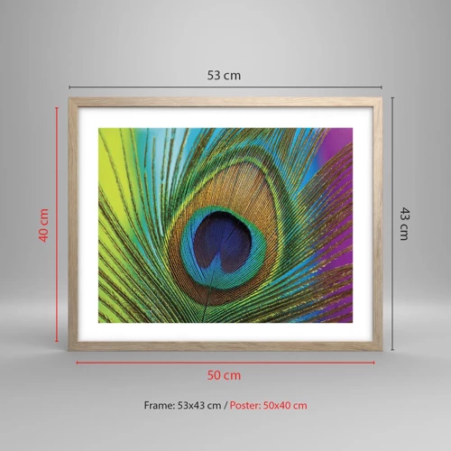 Poster in light oak frame - Eye to Eye - 50x40 cm