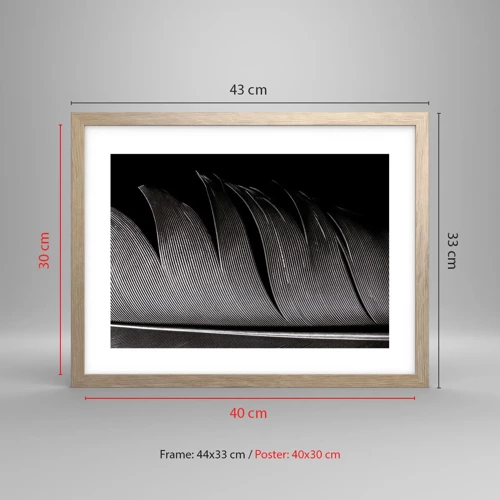 Poster in light oak frame - Feather - Wonderful Constract - 40x30 cm