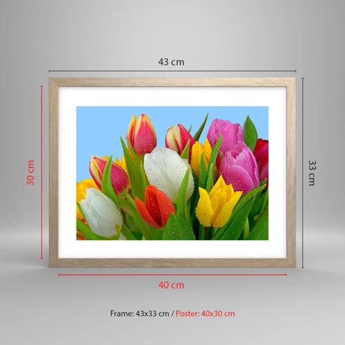 Poster in light oak frame - Floral Rainbow in Dew Drops - 40x30 cm