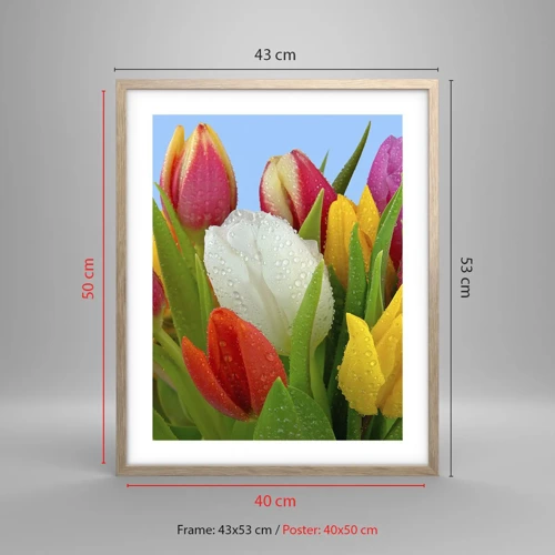 Poster in light oak frame - Floral Rainbow in Dew Drops - 40x50 cm