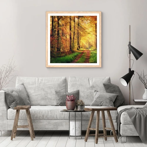 Poster in light oak frame - Forest Golden silence - 60x60 cm