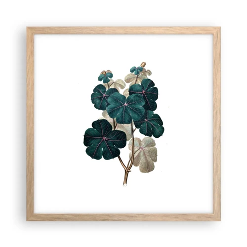 Poster in light oak frame - From the Old Herbarium - 40x40 cm