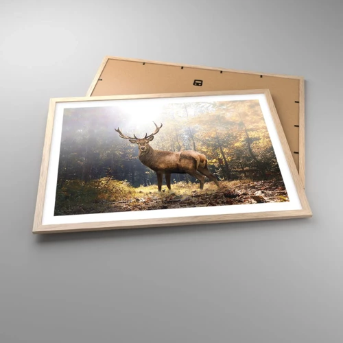 Poster in light oak frame - In Full Majesty - 70x50 cm