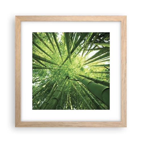 Poster in light oak frame - In a Bamboo Forest - 30x30 cm