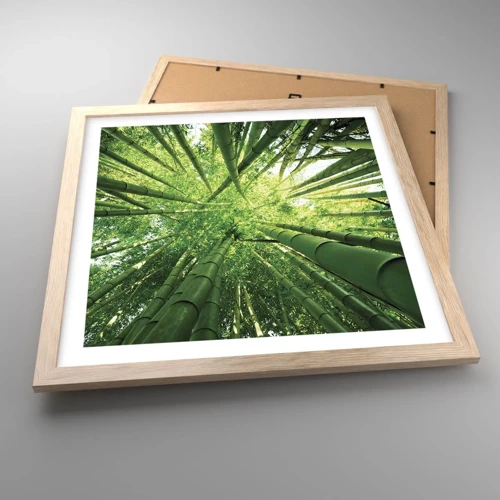 Poster in light oak frame - In a Bamboo Forest - 40x40 cm