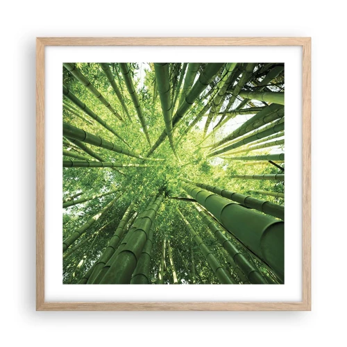 Poster in light oak frame - In a Bamboo Forest - 50x50 cm