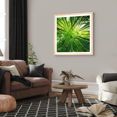 Poster in light oak frame - In a Bamboo Forest - 50x50 cm
