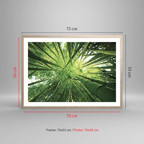 Poster in light oak frame - In a Bamboo Forest - 70x50 cm