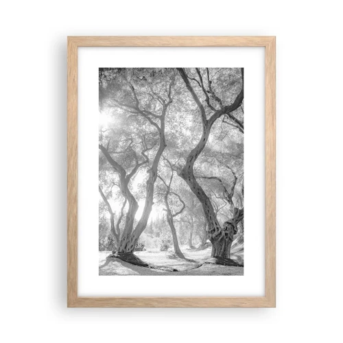 Poster in light oak frame - In an Olive Grove - 30x40 cm