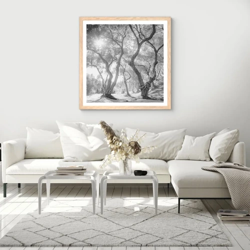 Poster in light oak frame - In an Olive Grove - 40x40 cm