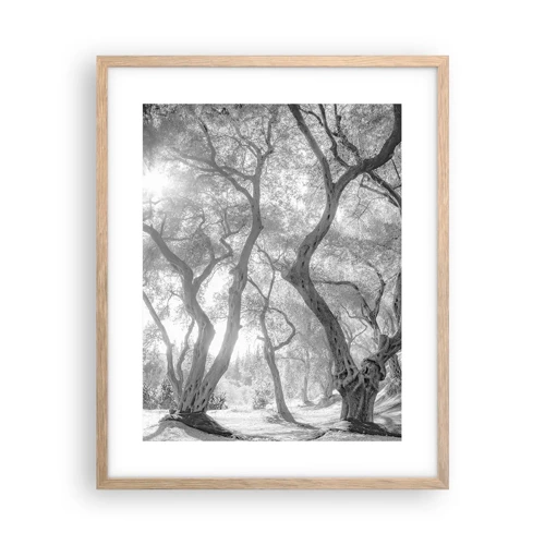 Poster in light oak frame - In an Olive Grove - 40x50 cm