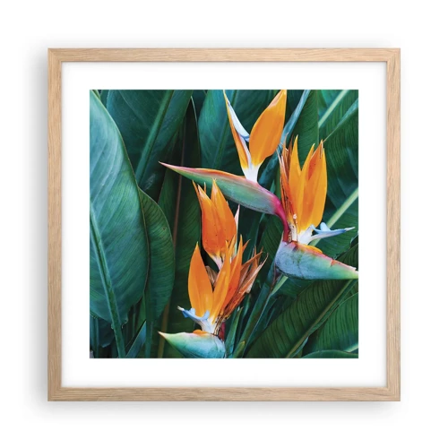 Poster in light oak frame - Is It a Flower or a Bird? - 40x40 cm