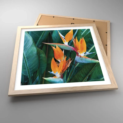 Poster in light oak frame - Is It a Flower or a Bird? - 40x40 cm