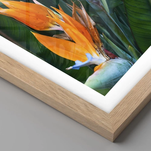 Poster in light oak frame - Is It a Flower or a Bird? - 40x40 cm