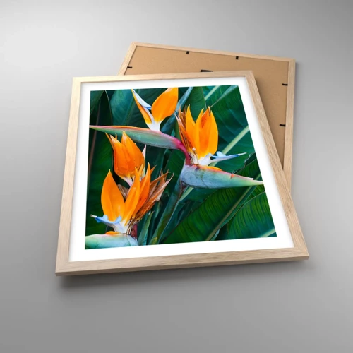 Poster in light oak frame - Is It a Flower or a Bird? - 40x50 cm