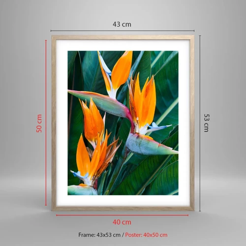 Poster in light oak frame - Is It a Flower or a Bird? - 40x50 cm