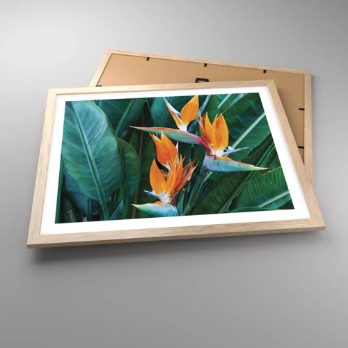 Poster in light oak frame - Is It a Flower or a Bird? - 50x40 cm