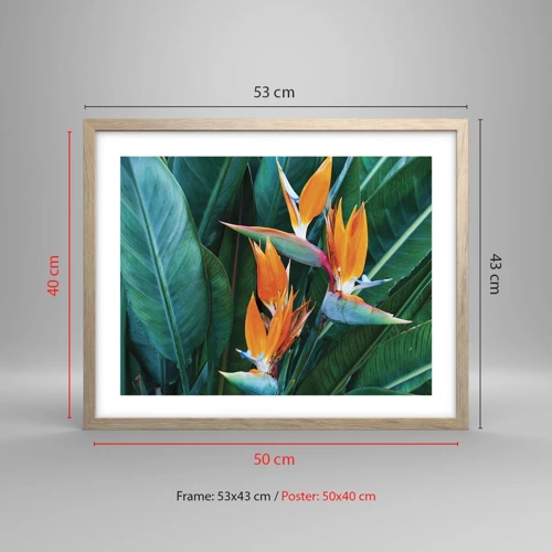 Poster in light oak frame - Is It a Flower or a Bird? - 50x40 cm