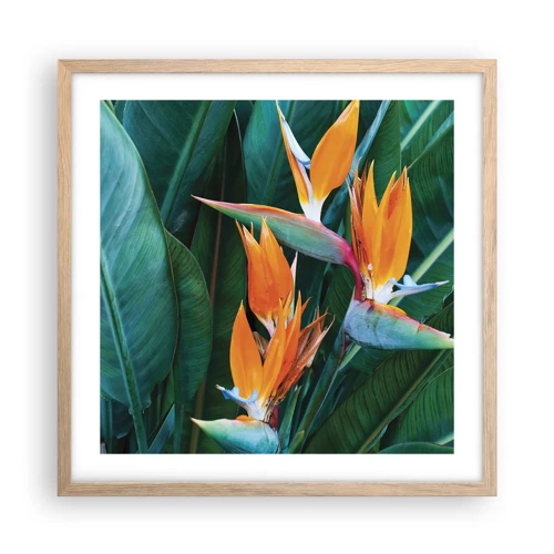 Poster in light oak frame - Is It a Flower or a Bird? - 50x50 cm