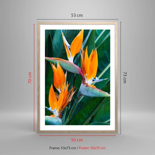 Poster in light oak frame - Is It a Flower or a Bird? - 50x70 cm