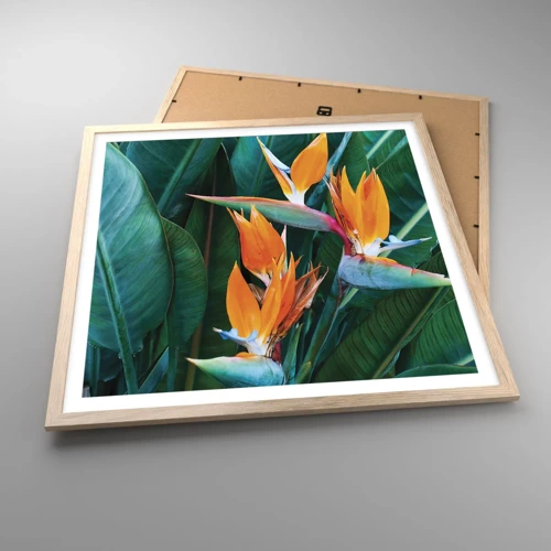 Poster in light oak frame - Is It a Flower or a Bird? - 60x60 cm