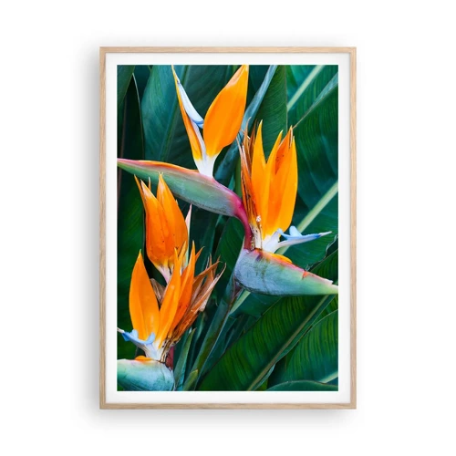 Poster in light oak frame - Is It a Flower or a Bird? - 70x100 cm