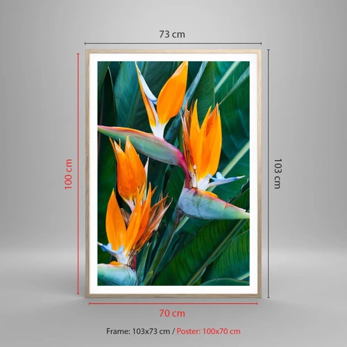 Poster in light oak frame - Is It a Flower or a Bird? - 70x100 cm