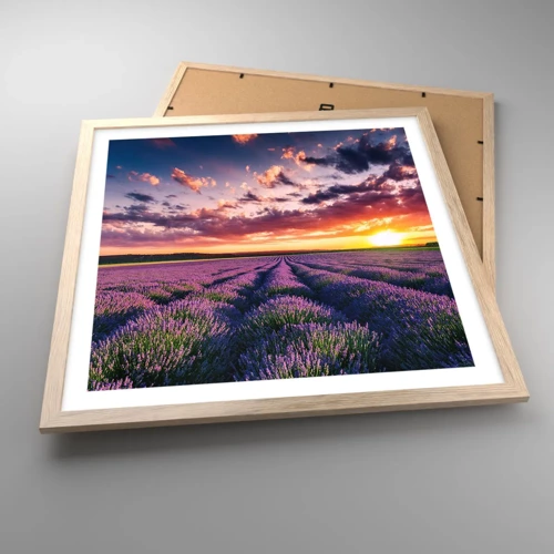 Poster in light oak frame - Lavender World - 50x50 cm