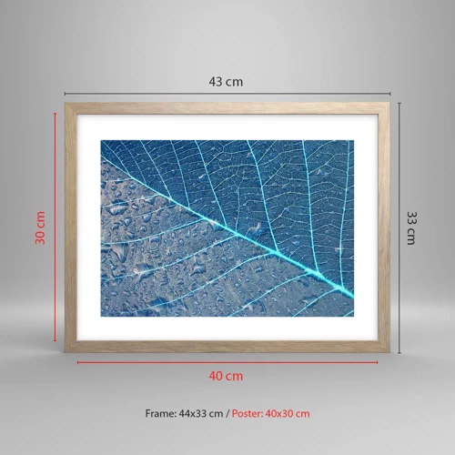 Poster in light oak frame - Life in the Blue - 40x30 cm