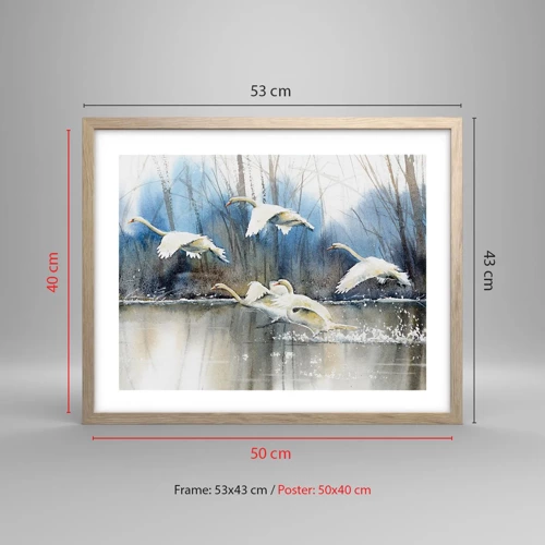 Poster in light oak frame - Like in a Fairy Tale about Wild Swans - 50x40 cm