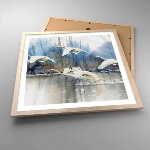 Poster in light oak frame - Like in a Fairy Tale about Wild Swans - 50x50 cm