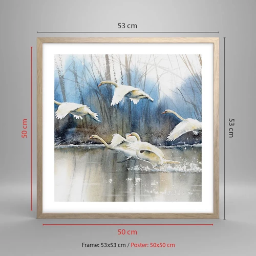Poster in light oak frame - Like in a Fairy Tale about Wild Swans - 50x50 cm